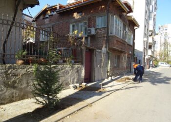 Първа акция по залесяване на улици в Северен