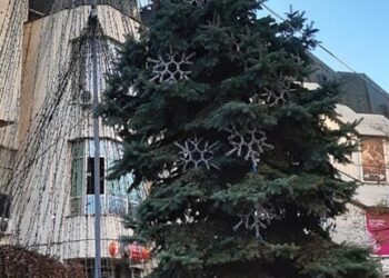 Бедна Коледа в Станимака