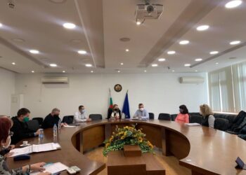 Каназирева се зае с водата в Брестовица