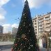 Празничната елха в Тракия ще грейне в сряда