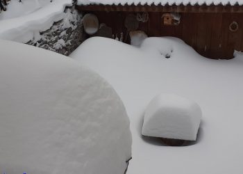 80 см. сняг в Родопската яка