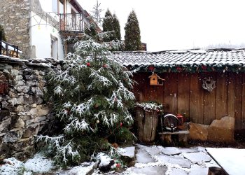 В „Родопи“ всичко е спокойно