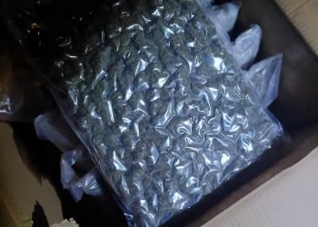 Българин и македонец със 130 кг марихуана