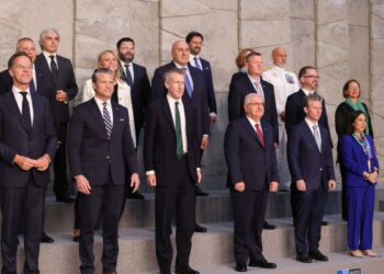 Никой в НАТО не пита Митко есемеса
