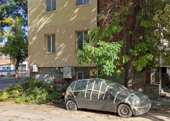Дърво премаза автомобил в кв. Съдийдски