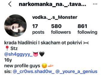 narkomanka_na_tavana и vodka._s._Monster – примамка