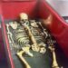България получи костите на Самуил срещу 48 реликви