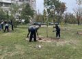 40 нови дръвчета в Пловдив
