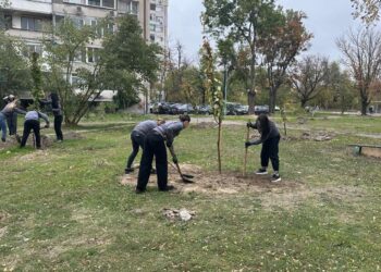 40 нови дръвчета в Пловдив