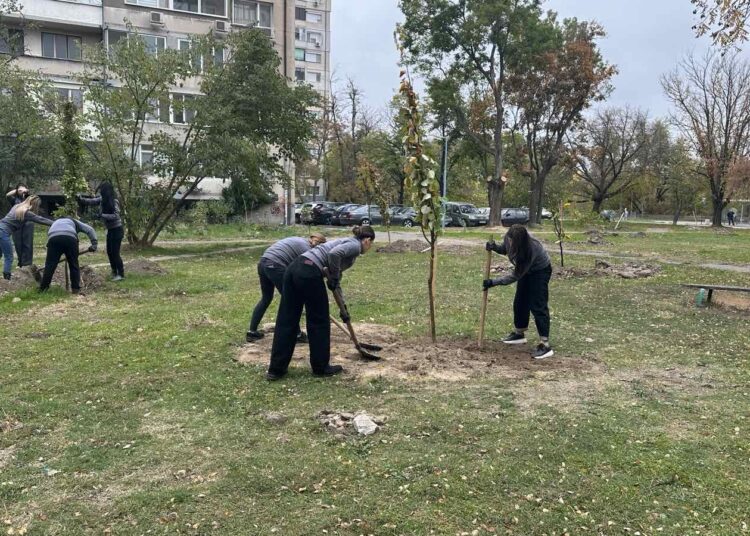 40 нови дръвчета в Пловдив